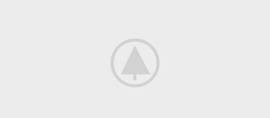 wood-gallery-placeholder-5 wood-gallery-placeholder-5